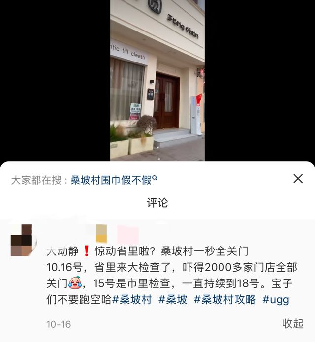 鹜的代购和满大街的“打假”标语｜封面头条千亿国际网站河南桑坡村的AB面：趋之若(图9)