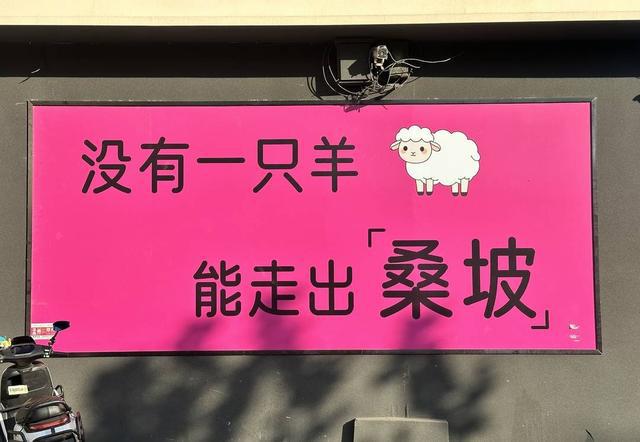 鹜的代购和满大街的“打假”标语｜封面头条千亿国际网站河南桑坡村的AB面：趋之若(图10)