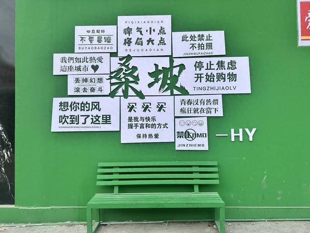 鹜的代购和满大街的“打假”标语｜封面头条千亿国际网站河南桑坡村的AB面：趋之若(图11)