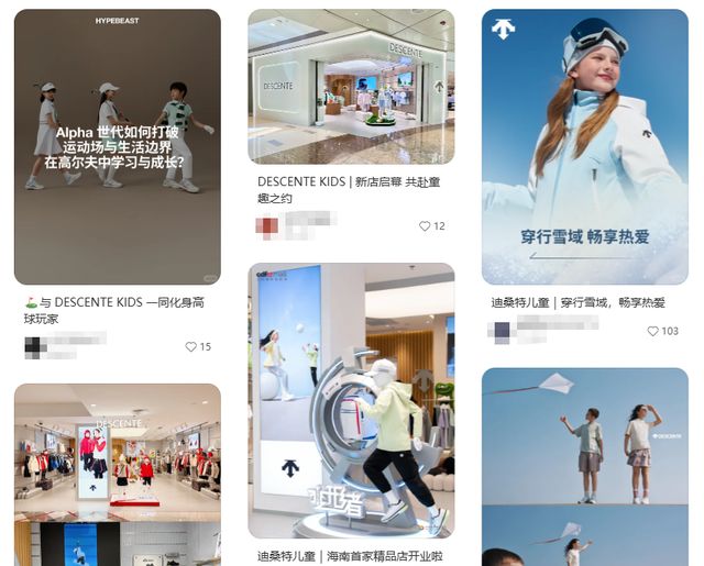 地位越来越高了迪桑特在安踏的(图2) 地位越来越高了迪桑特在安踏的(图2)